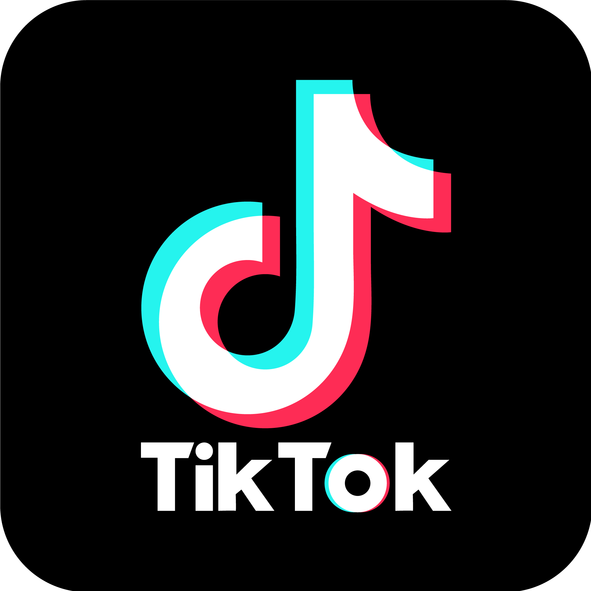 TikTok Link